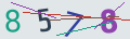 verifycode
